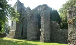 Castello di Maynooth